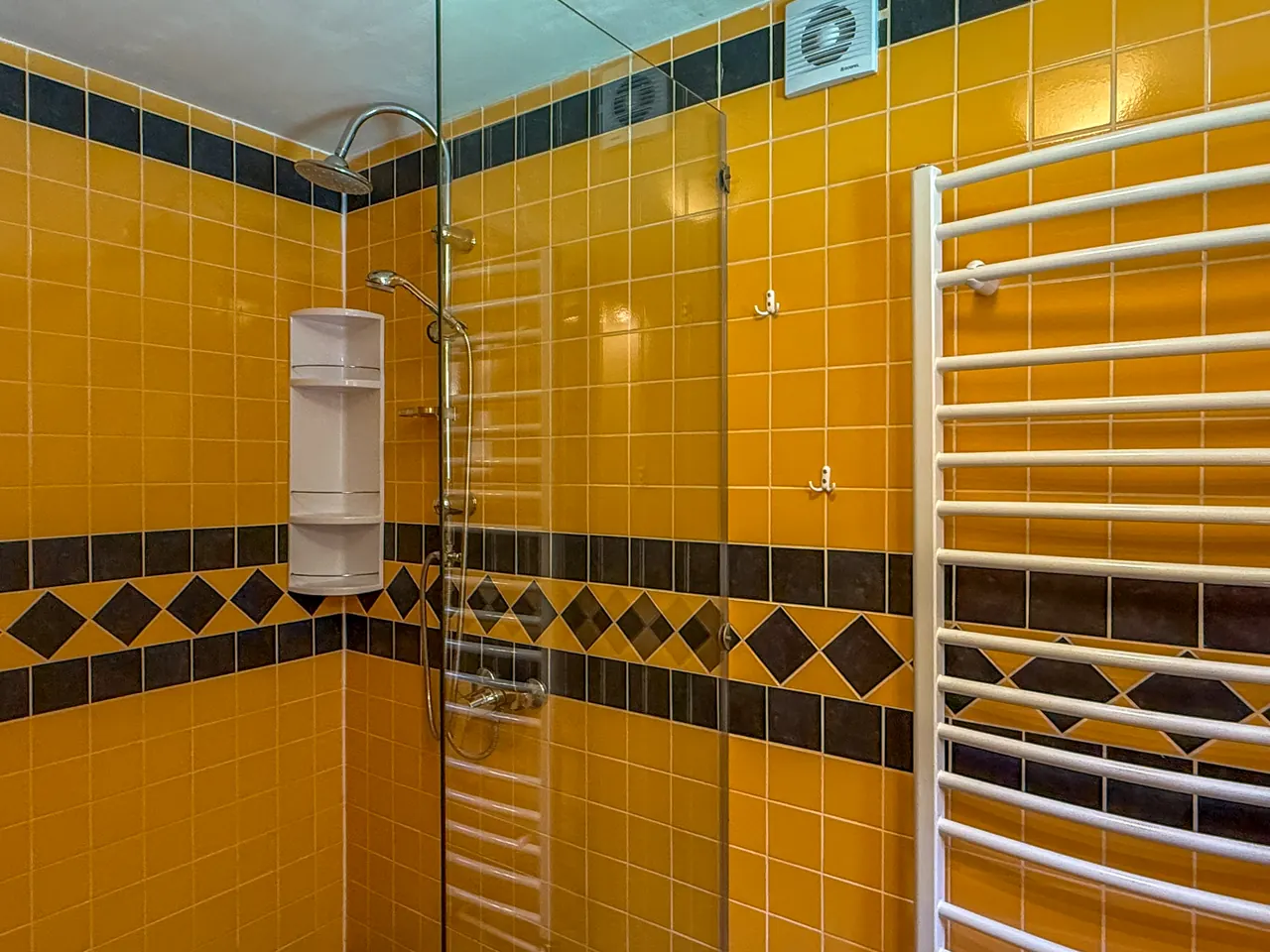 The walk-in shower on the ground floor