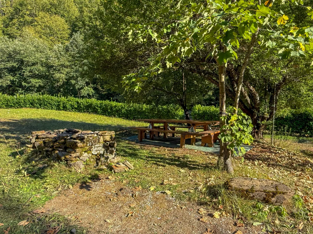 The picnic area with a fire pit, under the trees
