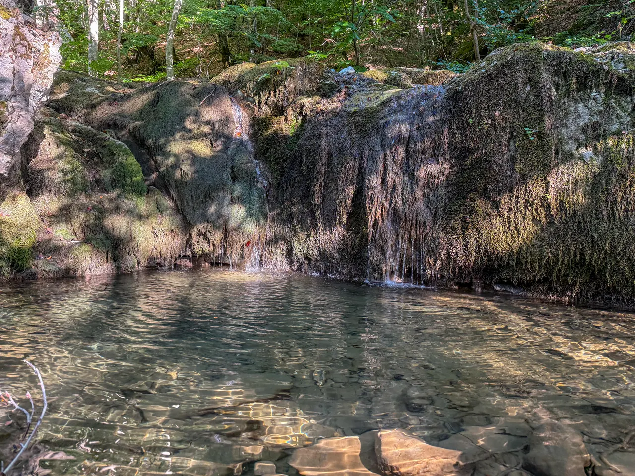 A small waterfall and clear pool in the stream